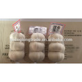 Alho branco puro 3P * 80 / carton China Jinxiang alho fresco